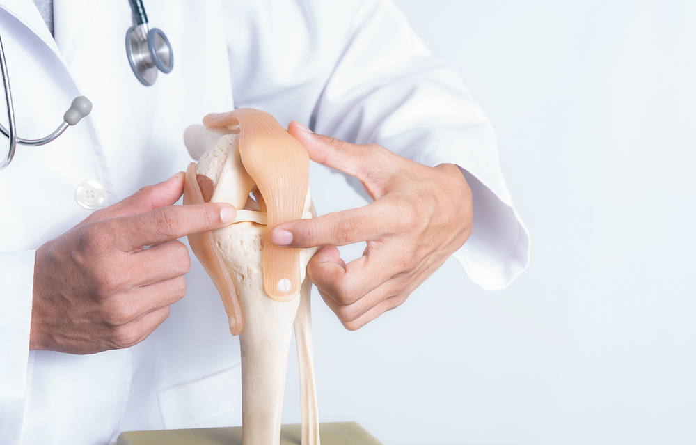 Cartilage